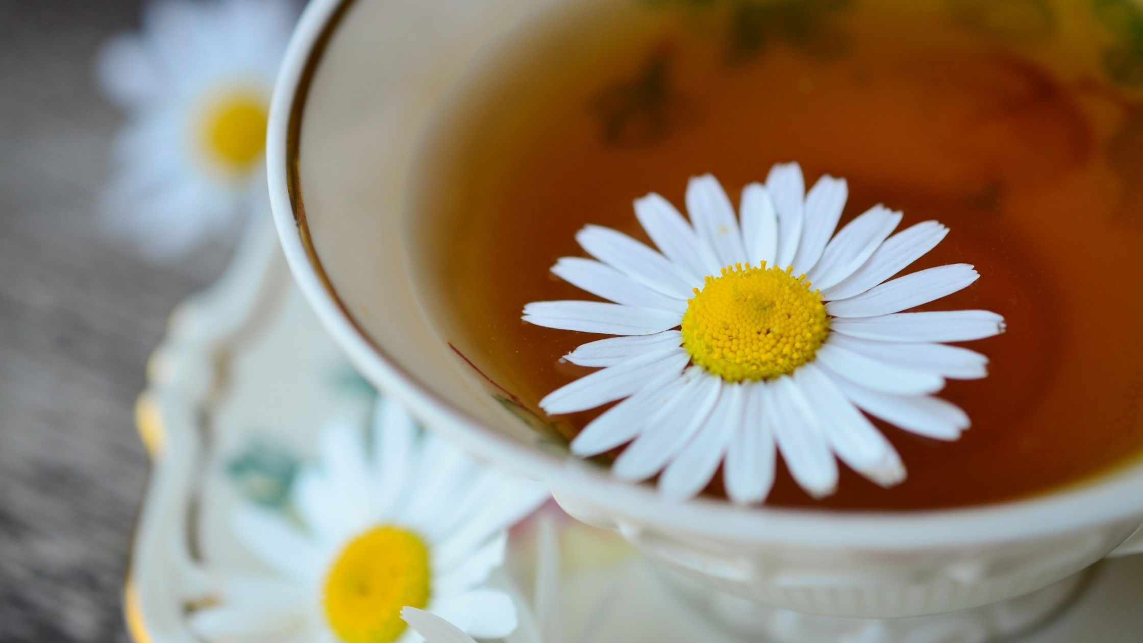 20 Mejores plantas medicinales Beneficios y propiedades curativas