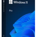 Windows 11 PRO